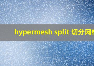 hypermesh split 切分网格